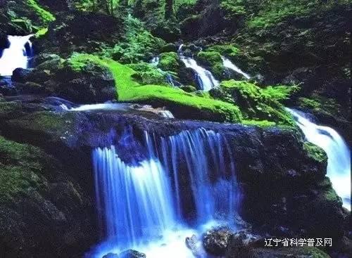 秘境对决